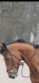 Filet CWD taille 1