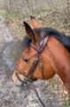 Filet CWD taille 1