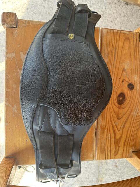 Sangle de dressage Makila