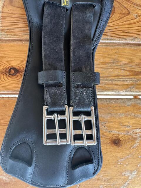 Sangle de dressage Makila