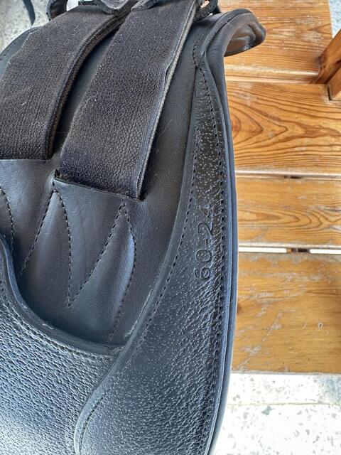 Sangle de dressage Makila