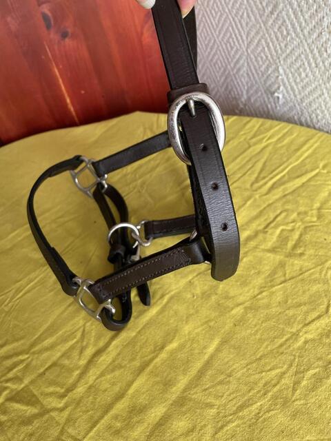 Licol cuir foal/poulain