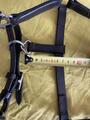Licol cuir foal/poulain