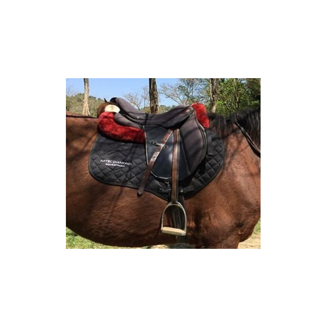Amortisseur rouge Riding World
