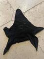 Bonnet noir long