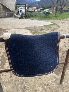 tapis bleu marine