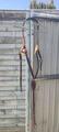 collier de chasse