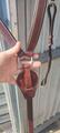 collier de chasse