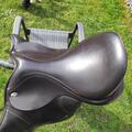 Thorowgood t8 modèle standard