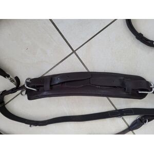 Collier freejump cwd