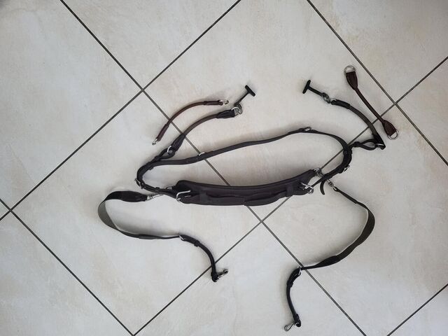 Collier freejump cwd