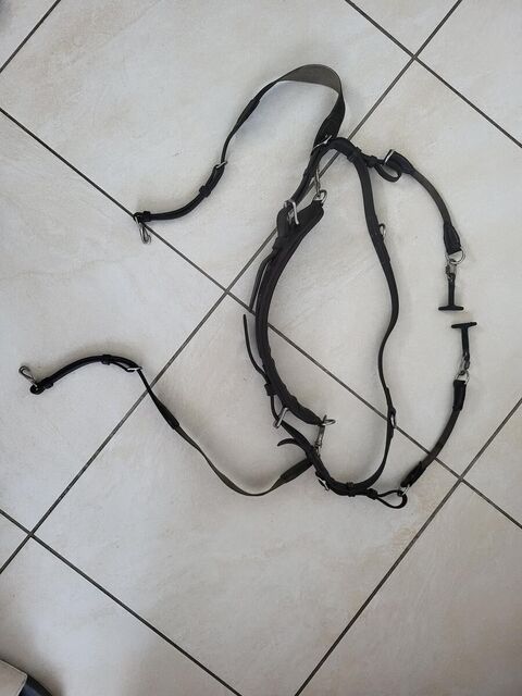 Collier freejump cwd