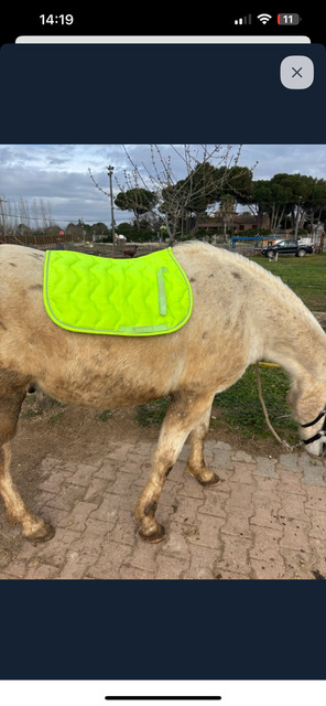 Tapis jaune fluo