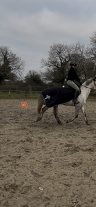 couvre reins HKM