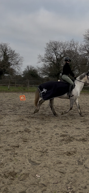 couvre reins HKM