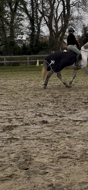 couvre reins HKM