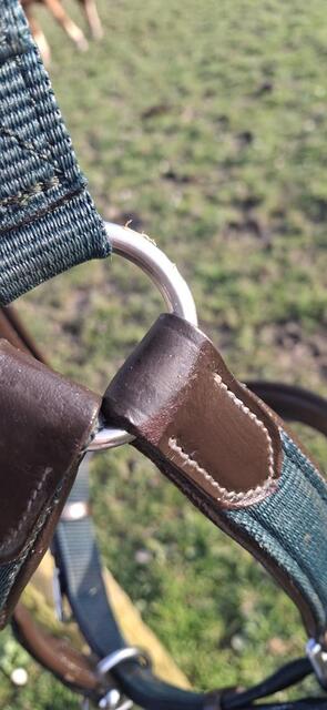 Licol Cuir / Nylon