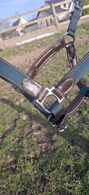 Licol Cuir / Nylon
