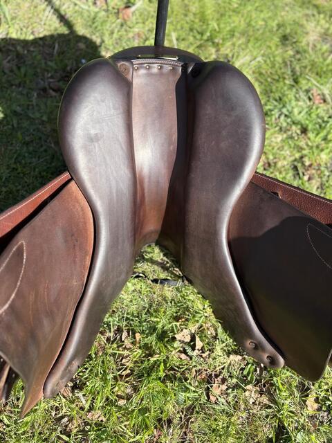Selle Forestier Seoul