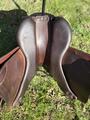 Selle Forestier Seoul