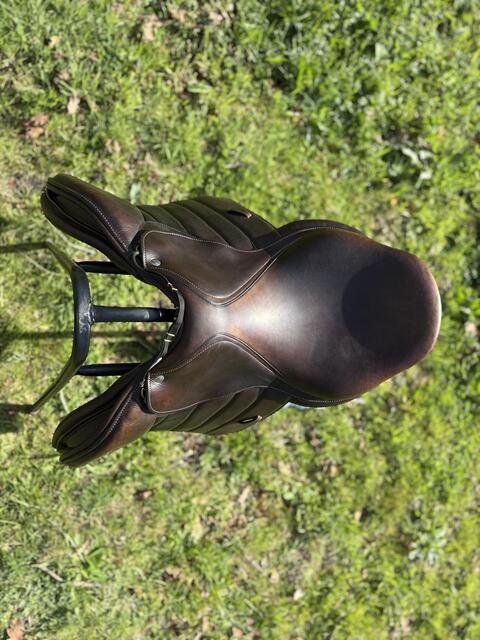 Selle Forestier Seoul
