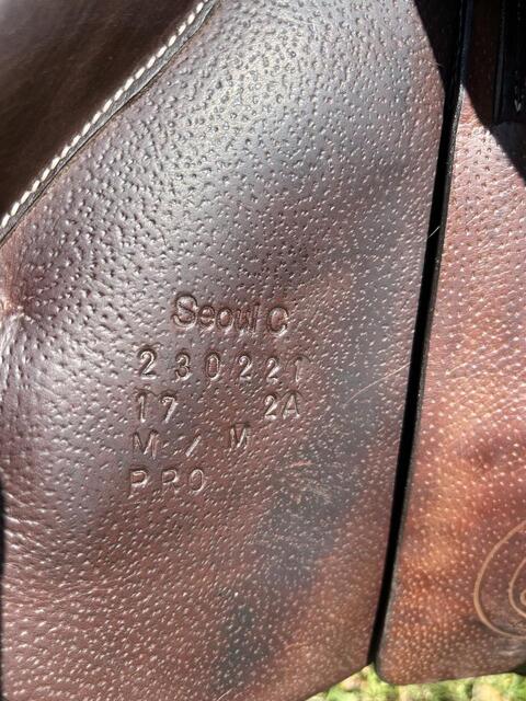 Selle Forestier Seoul