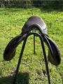 Selle Forestier Seoul