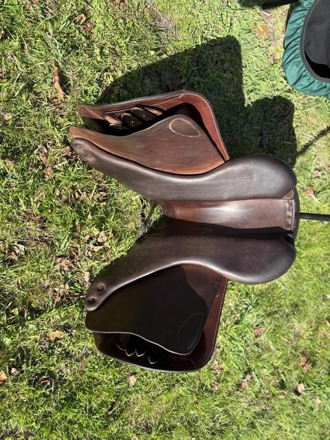 Selle Forestier Seoul