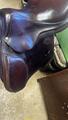 Selle antares