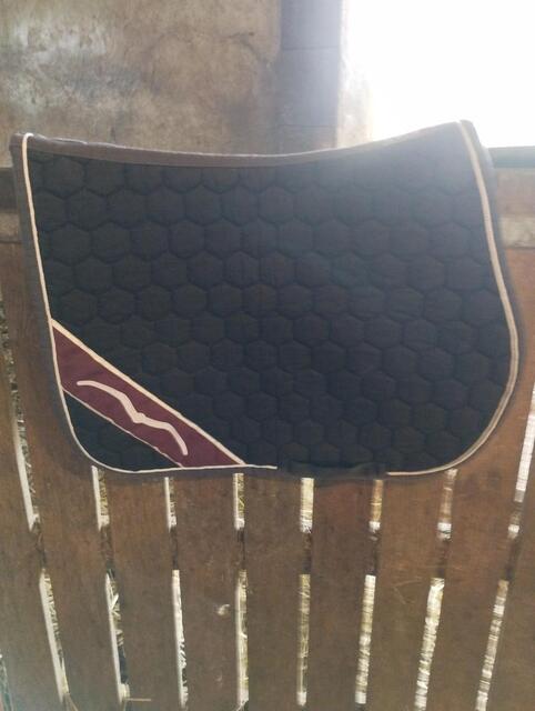 Tapis animo