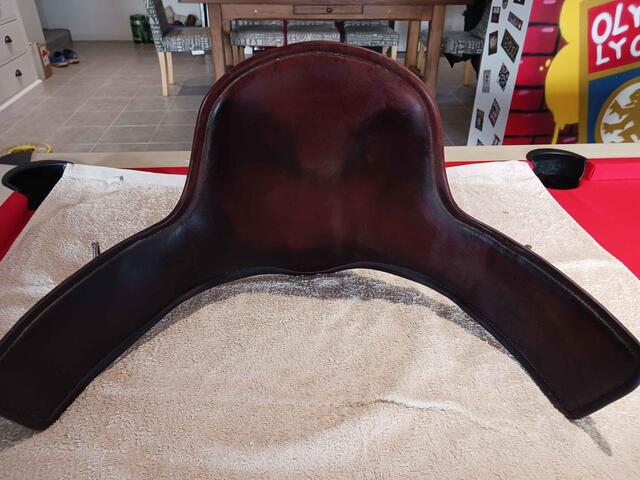 Sangle bavette courte