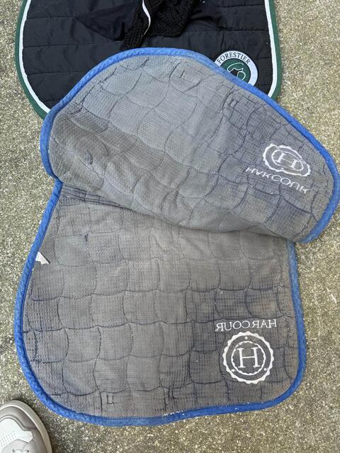 Tapis Harcour Bleu