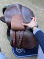 Selle Forestier - Seoul