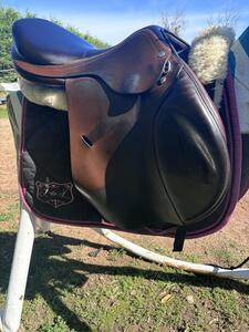 Selle Equipe