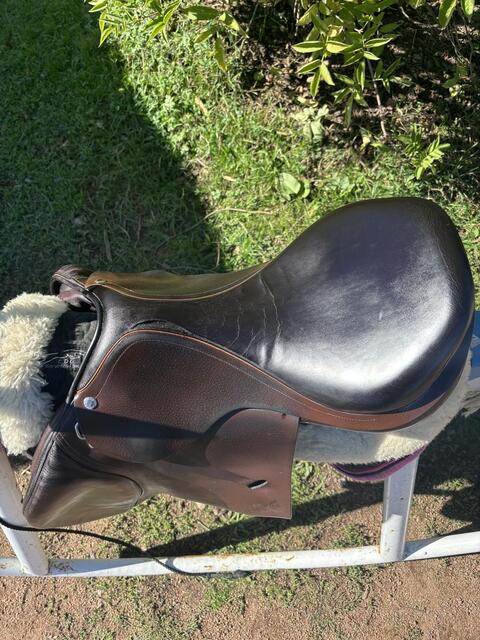 Selle Equipe