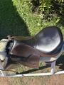 Selle Equipe