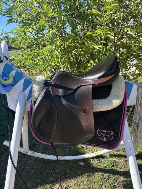 Selle Equipe