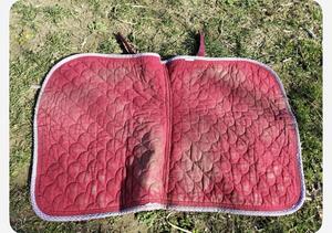 Tapis dressages
