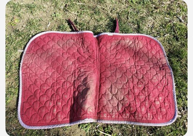 Tapis dressages