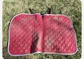 Tapis dressages