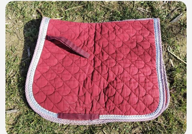 Tapis dressages