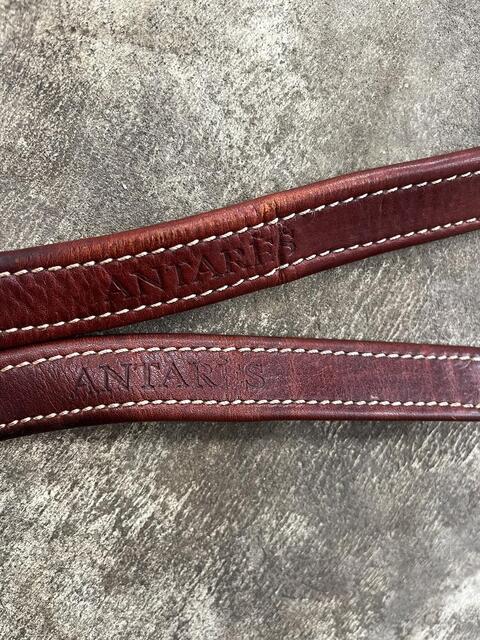 Étrivière antarès