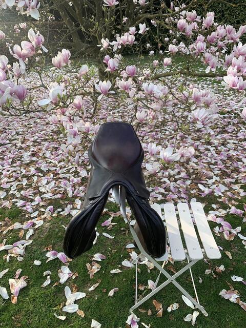 Selle Ikonic Élite