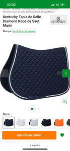 tapis kentucky bleu