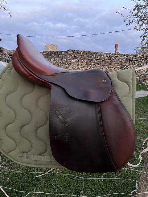 selle stubben edelweiss