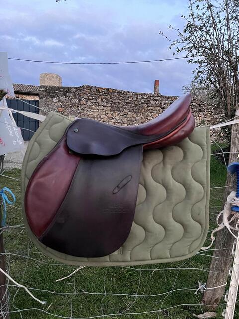 selle stubben edelweiss