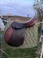 selle stubben edelweiss