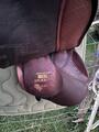 selle stubben edelweiss
