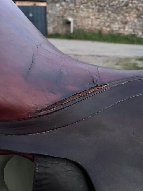 selle stubben edelweiss