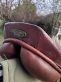 selle stubben edelweiss